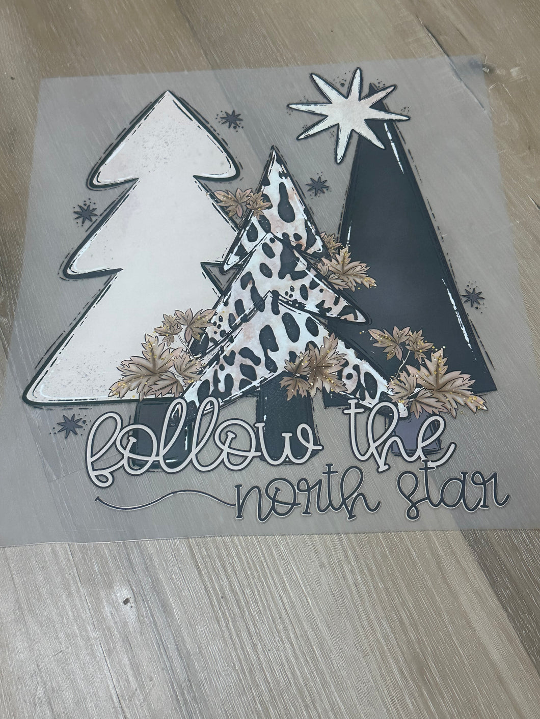 Follow the North Star